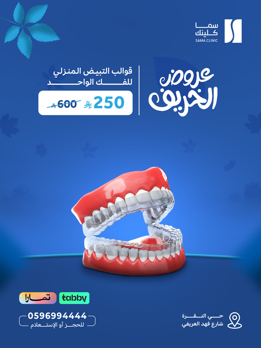 العنوان: قوالب التبيض المنزلي للفك الواحد